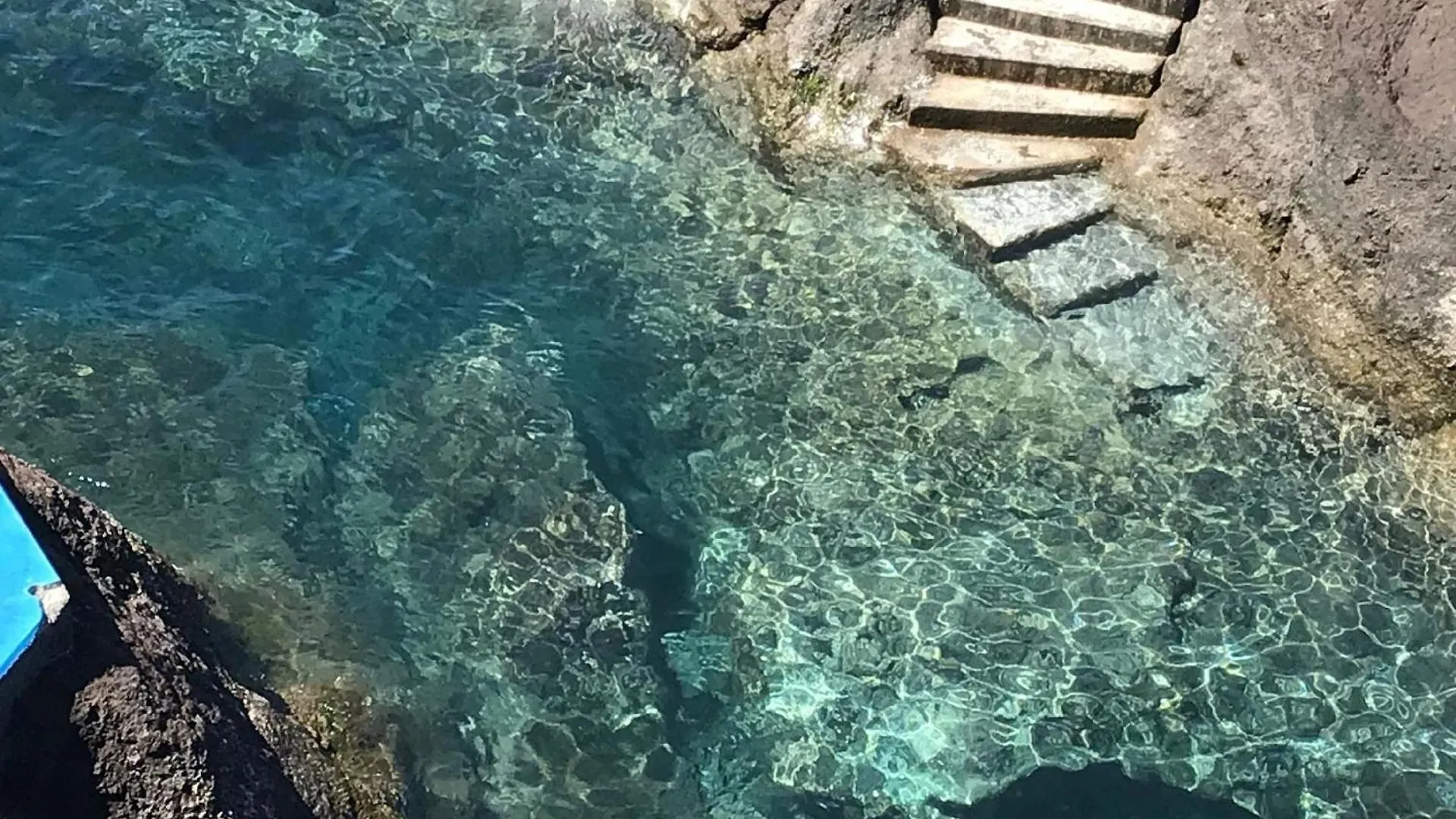 شقة Studio Fuer 4 Personen Ca 15 M In So Martinho, Madeira Suedkueste Von Madeira فونشال