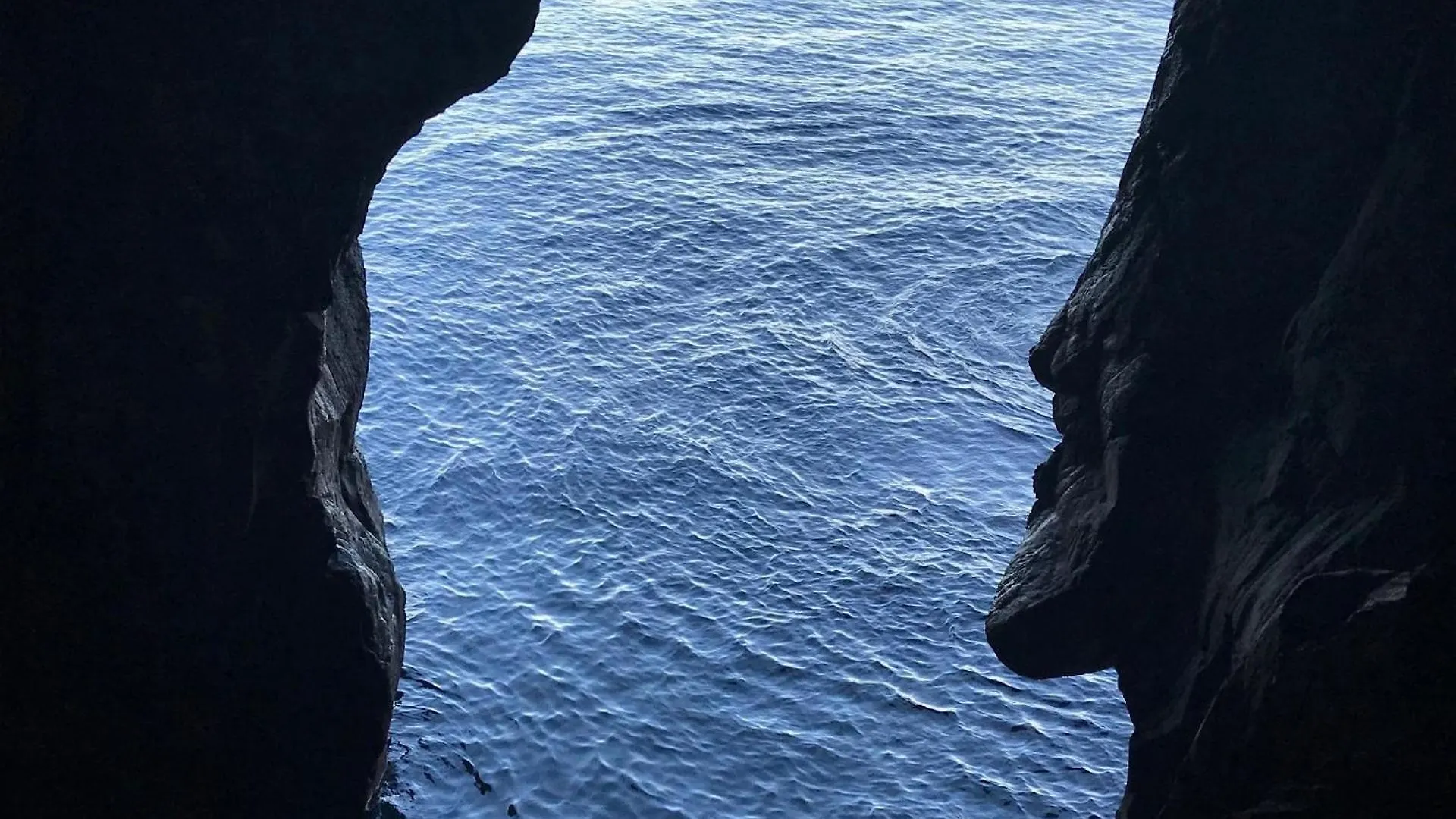 Studio Fuer 4 Personen Ca 15 M In So Martinho, Madeira Suedkueste Von Madeira فونشال شقة