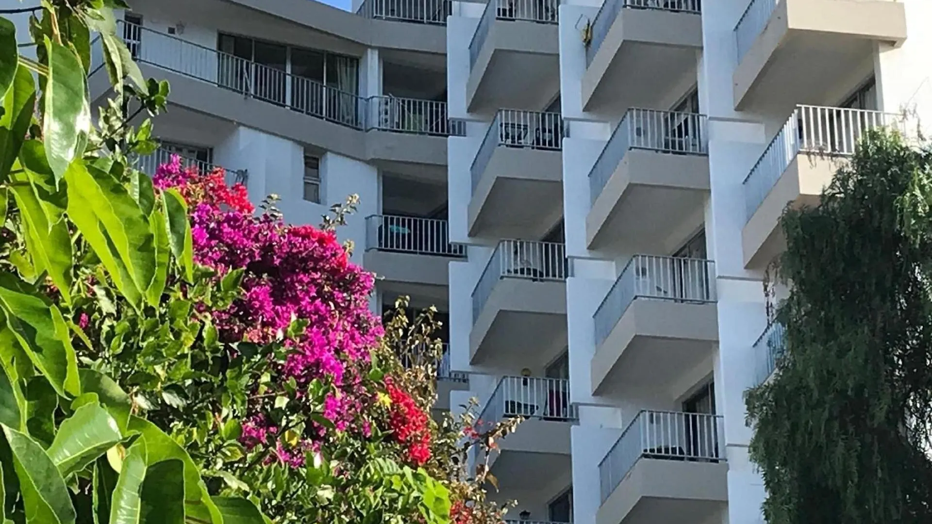 شقة Studio Fuer 4 Personen Ca 15 M In So Martinho, Madeira Suedkueste Von Madeira فونشال البرتغال
