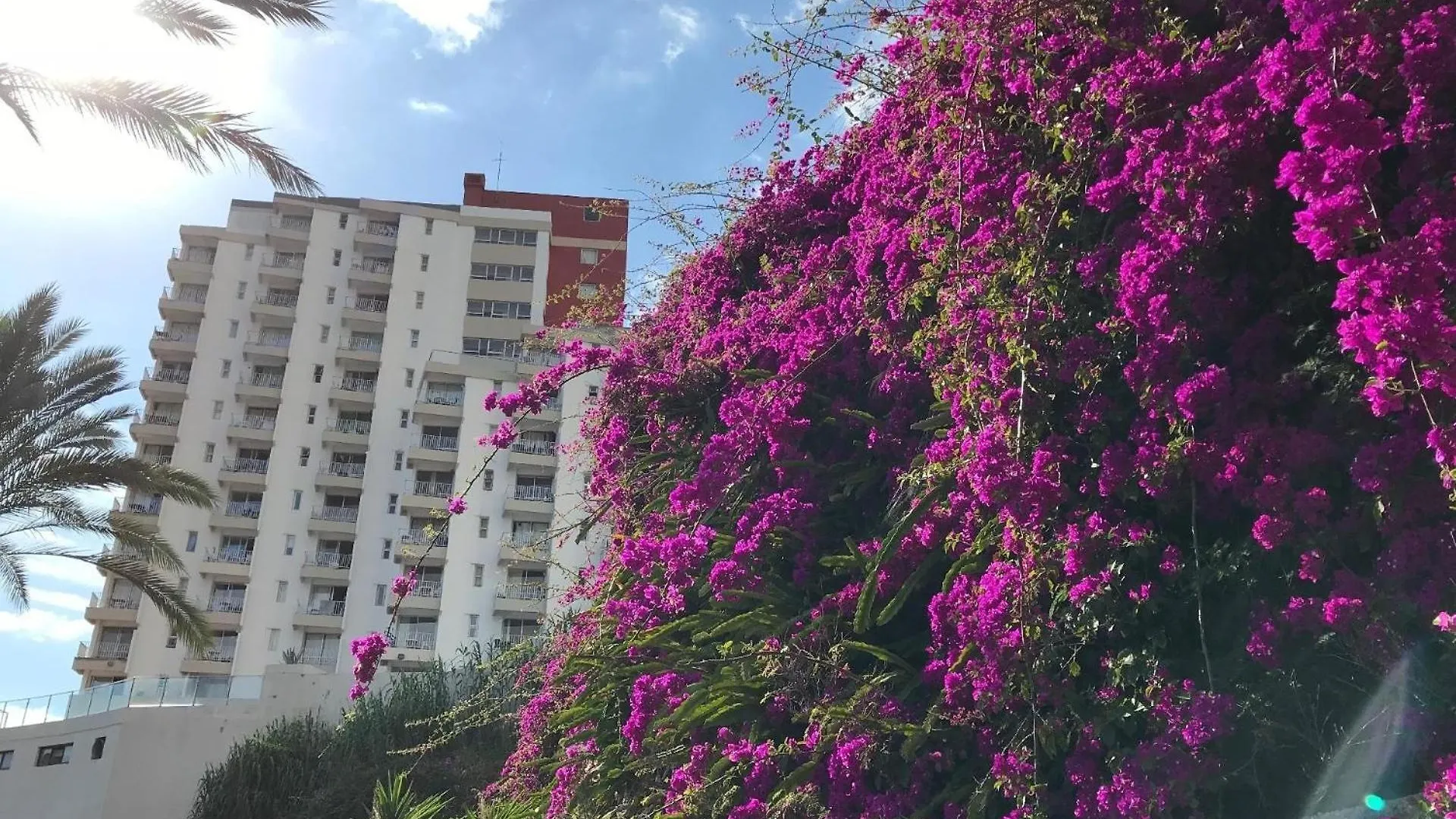 Studio Fuer 4 Personen Ca 15 M In So Martinho, Madeira Suedkueste Von Madeira Funchal  0*, Funchal (Madeira)